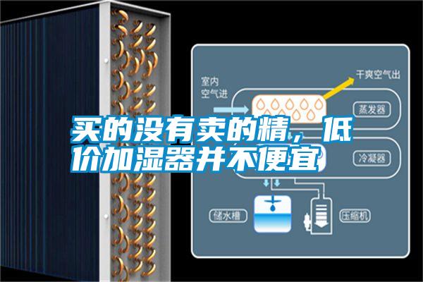 買的沒有賣的精，低價加濕器并不便宜