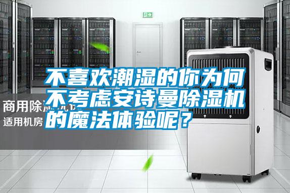 不喜歡潮濕的你為何不考慮安詩曼除濕機的魔法體驗呢？