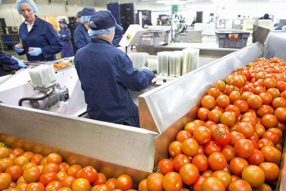 1523690472102873.jpg 1523690472102873.jpg