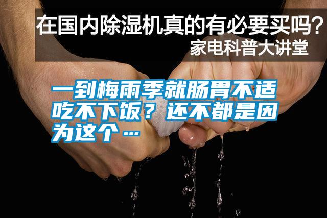 一到梅雨季就腸胃不適吃不下飯？還不都是因為這個…
