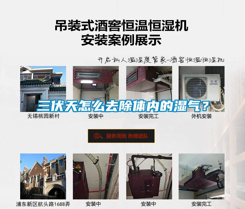 三伏天怎么去除體內的濕氣？