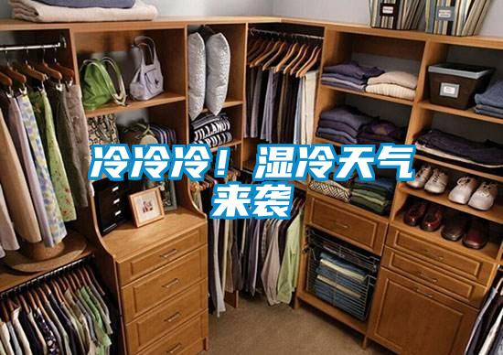 冷冷冷！濕冷天氣來襲