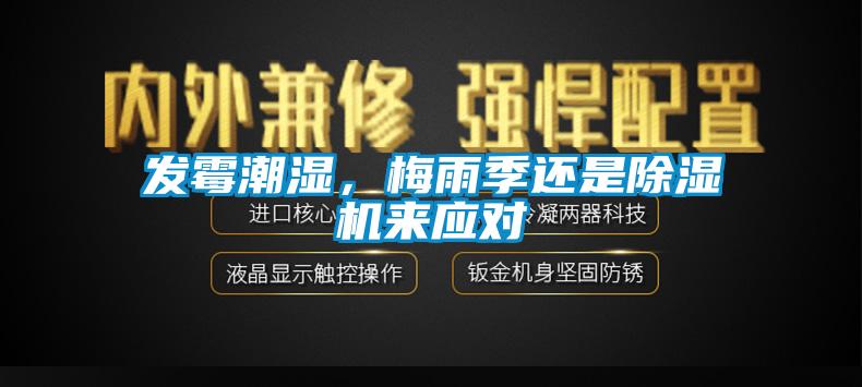 發(fā)霉潮濕,梅雨季還是除濕機來應對