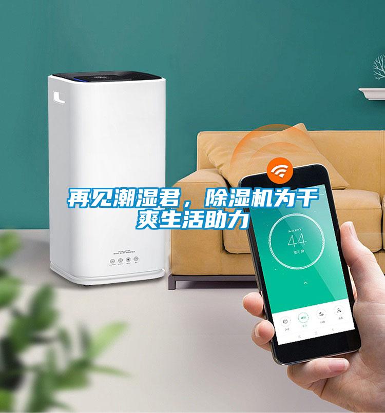 再見潮濕君，除濕機(jī)為干爽生活助力