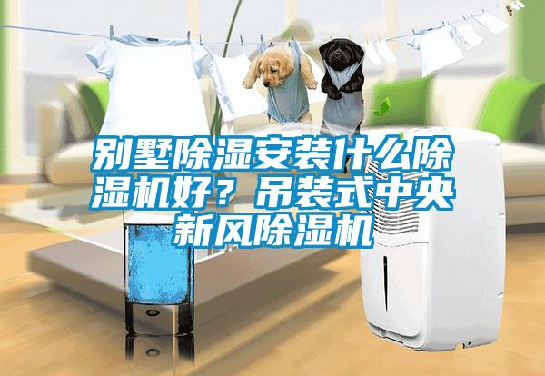別墅除濕安裝什么除濕機好？吊裝式中央新風除濕機