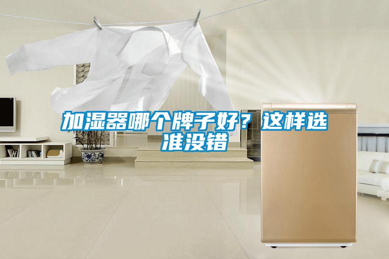 加濕器哪個牌子好？這樣選準沒錯