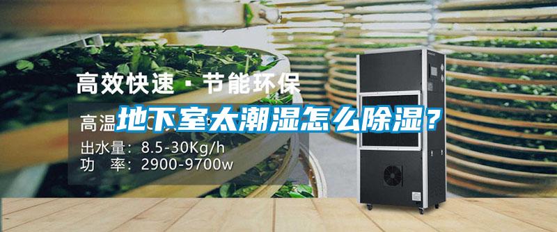地下室太潮濕怎么除濕？