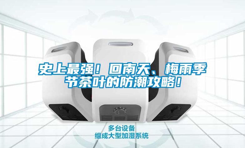 史上最強！回南天、梅雨季節茶葉的防潮攻略！