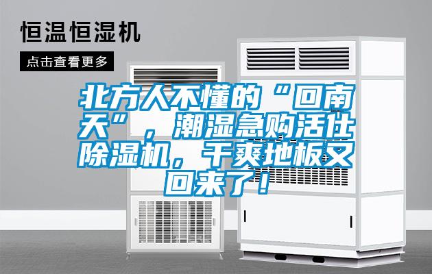 北方人不懂的“回南天”,潮濕急購活仕除濕機,干爽地板又回來了!