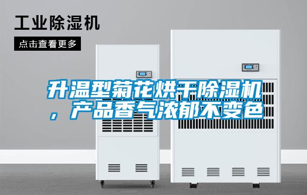 升溫型菊花烘干除濕機(jī)，產(chǎn)品香氣濃郁不變色