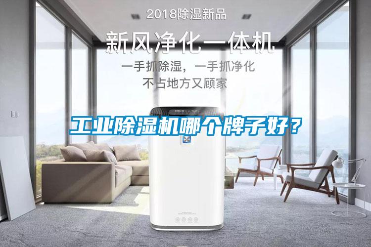 工業除濕機哪個牌子好？
