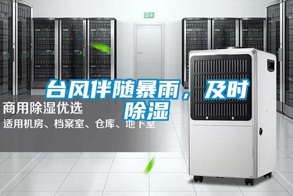 臺(tái)風(fēng)伴隨暴雨，及時(shí)除濕