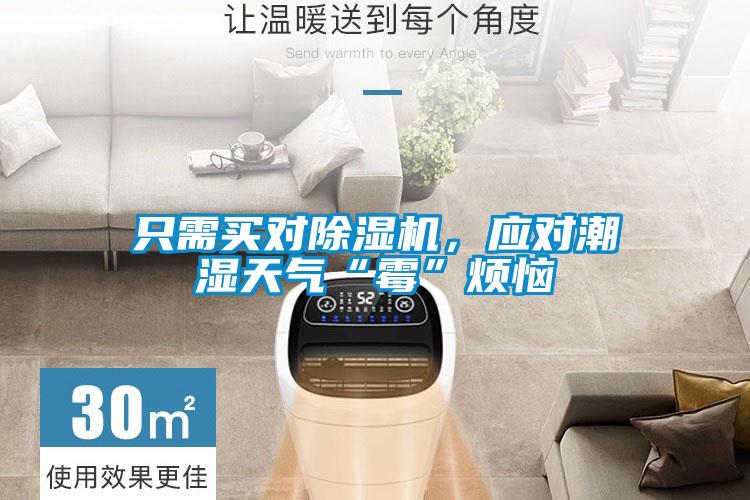 只需買對除濕機，應對潮濕天氣“霉”煩惱