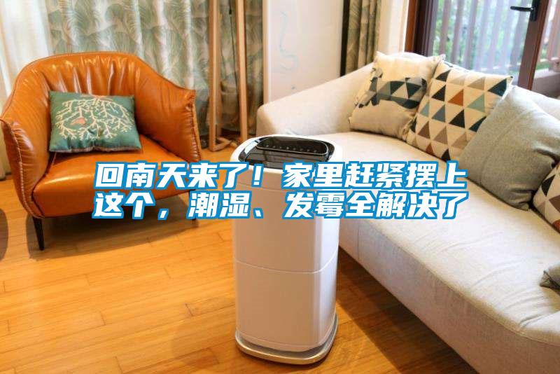 回南天來了！家里趕緊擺上這個，潮濕、發霉全解決了