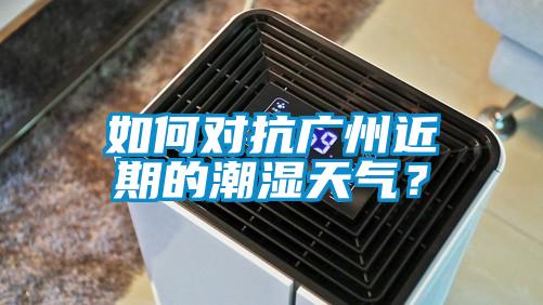 如何對抗廣州近期的潮濕天氣?