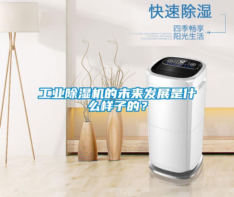 工業(yè)除濕機的未來發(fā)展是什么樣子的?