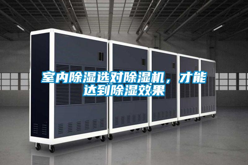 室內除濕選對除濕機，才能達到除濕效果
