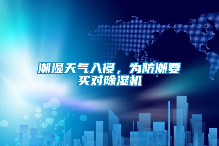 潮濕天氣入侵，為防潮要買對除濕機