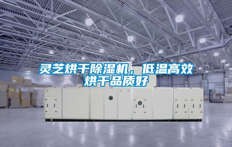 靈芝烘干除濕機(jī),低溫高效烘干品質(zhì)好