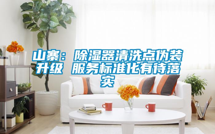 山寨：除濕器清洗點偽裝升級 服務(wù)標(biāo)準(zhǔn)化有待落實