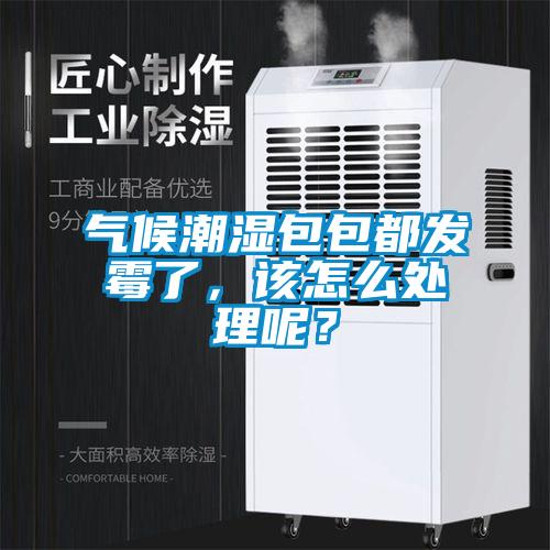 氣候潮濕包包都發霉了，該怎么處理呢？