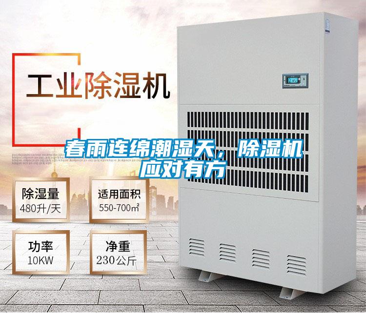 春雨連綿潮濕天,除濕機應對有方
