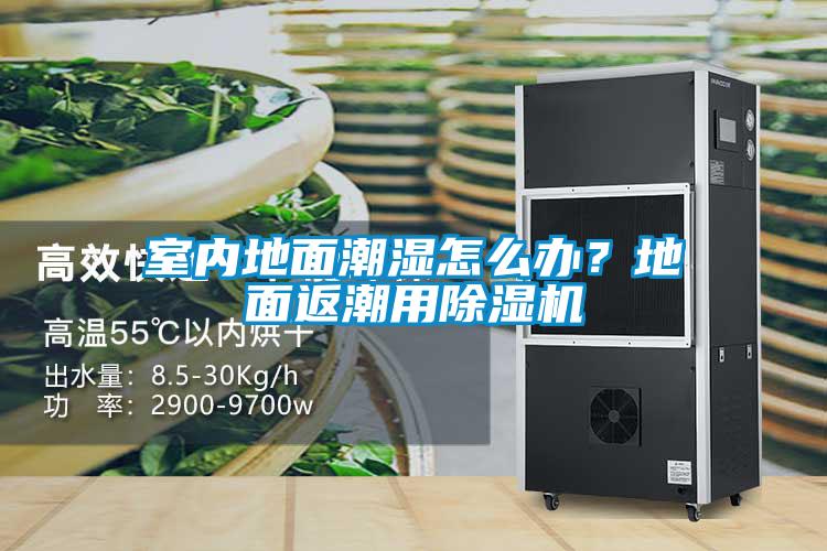 室內(nèi)地面潮濕怎么辦?地面返潮用除濕機(jī)