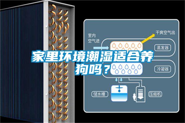 家里環境潮濕適合養狗嗎？