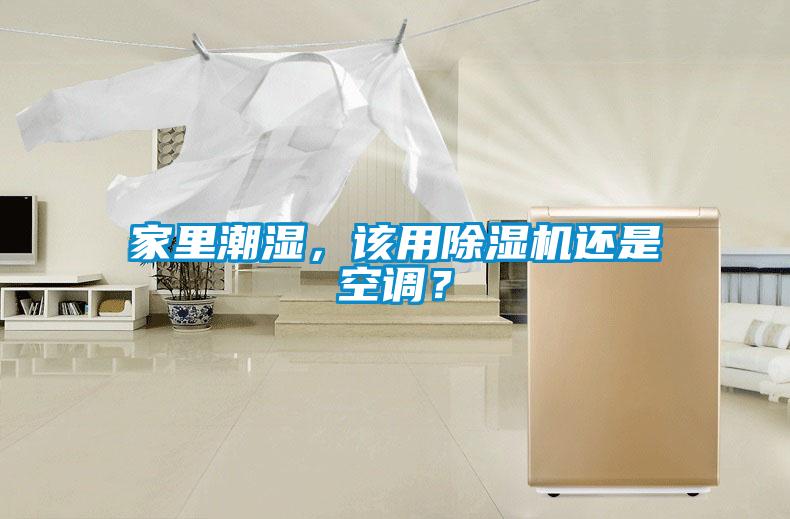 家里潮濕，該用除濕機還是空調？