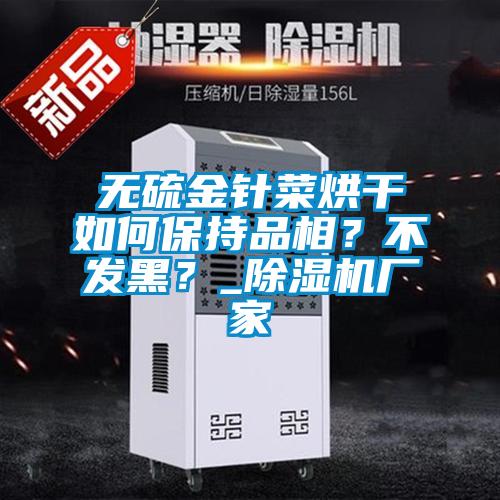 無硫金針菜烘干如何保持品相?不發黑?_除濕機廠家