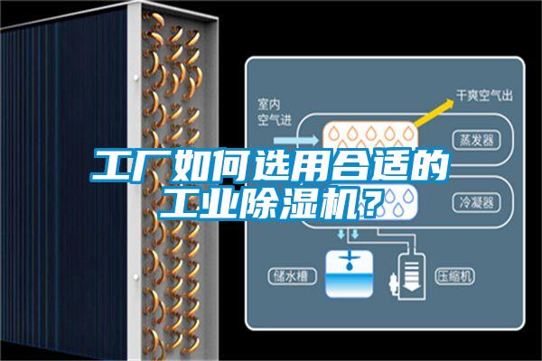 工廠如何選用合適的工業(yè)除濕機(jī)?