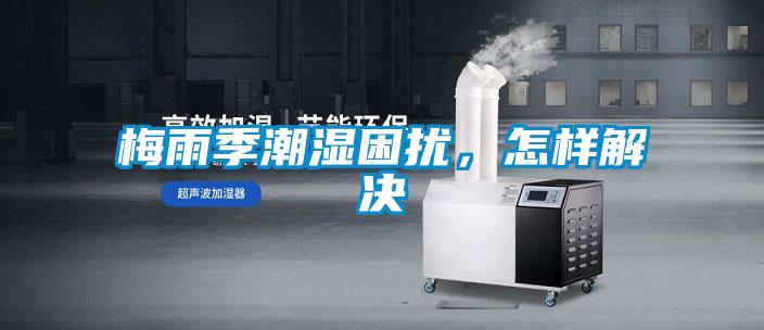 梅雨季潮濕困擾，怎樣解決