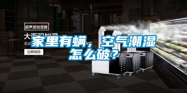 家里有螨，空氣潮濕怎么破？
