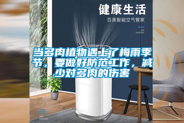 當多肉植物遇上了梅雨季節,要做好防范工作,減少對多肉的傷害