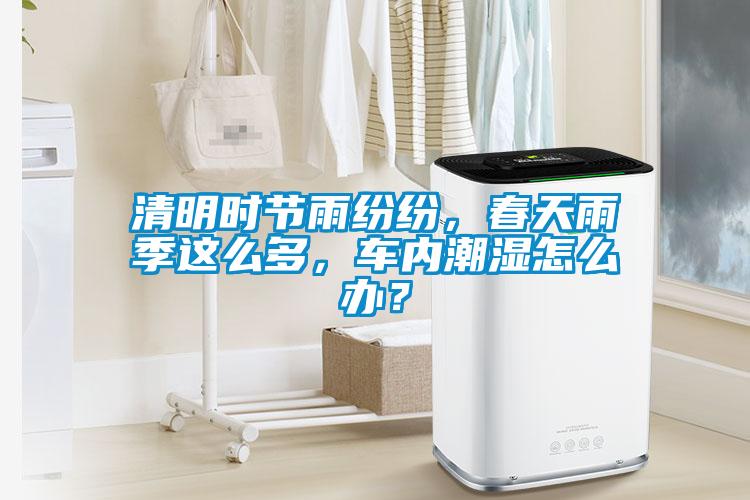 清明時節雨紛紛，春天雨季這么多，車內潮濕怎么辦？