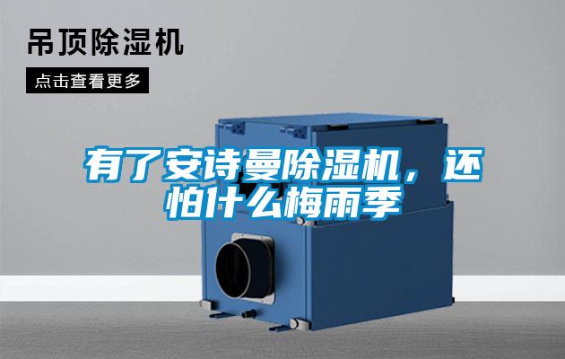 有了安詩曼除濕機(jī),還怕什么梅雨季