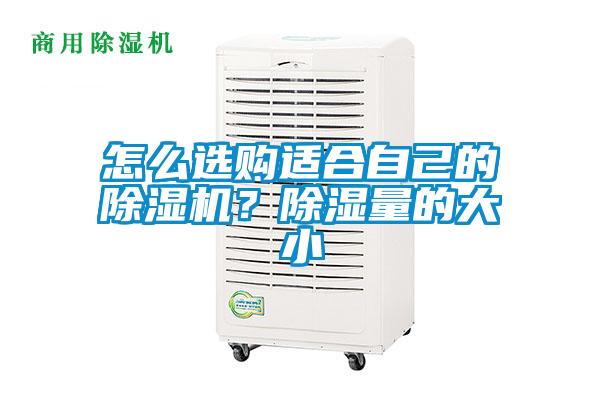 怎么選購適合自己的除濕機?除濕量的大小