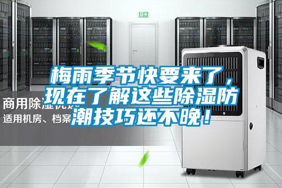 梅雨季節快要來了，現在了解這些除濕防潮技巧還不晚！