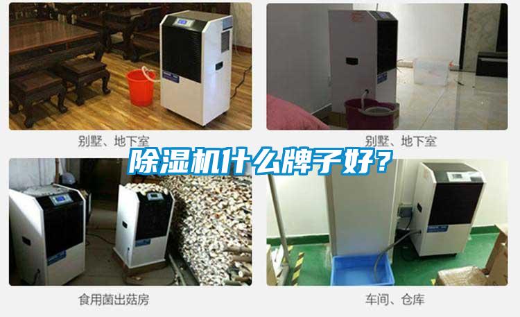 除濕機什么牌子好？