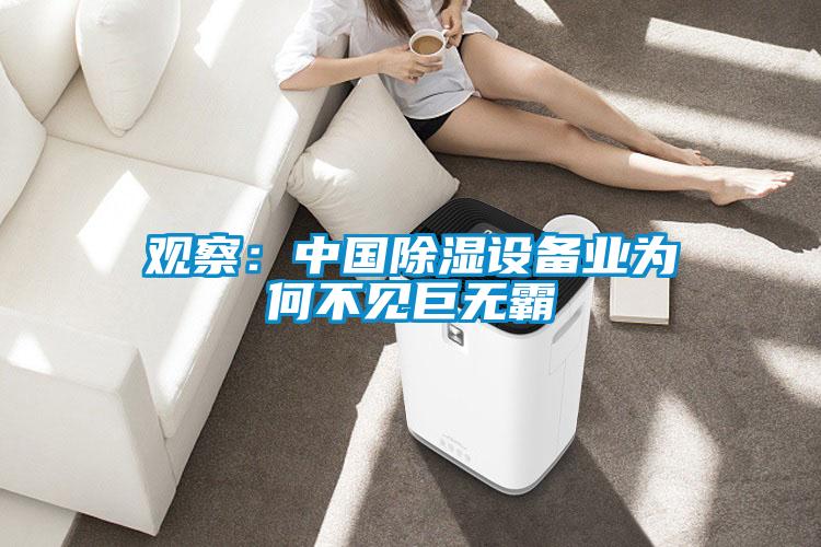 觀察：中國(guó)除濕設(shè)備業(yè)為何不見(jiàn)巨無(wú)霸