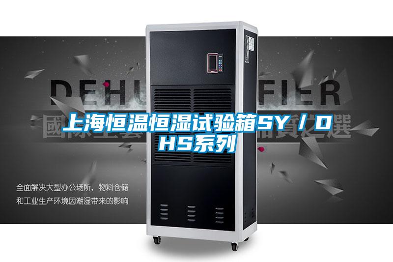 上海恒溫恒濕試驗(yàn)箱SY/DHS系列