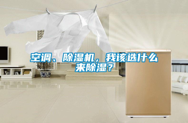 空調(diào)、除濕機(jī),我該選什么來除濕?