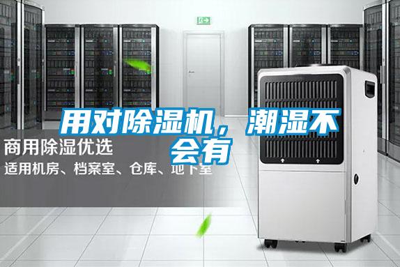 用對除濕機,潮濕不會有