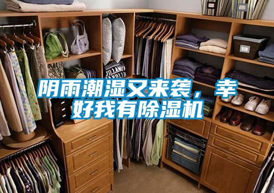 陰雨潮濕又來襲,幸好我有除濕機(jī)