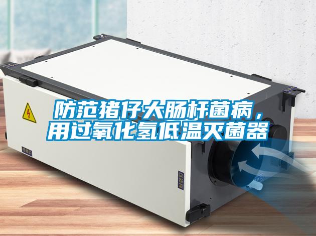 防范豬仔大腸桿菌病,用過(guò)氧化氫低溫滅菌器