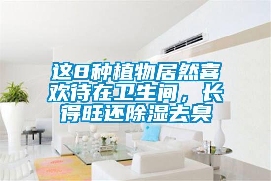 這8種植物居然喜歡待在衛(wèi)生間，長得旺還除濕去臭