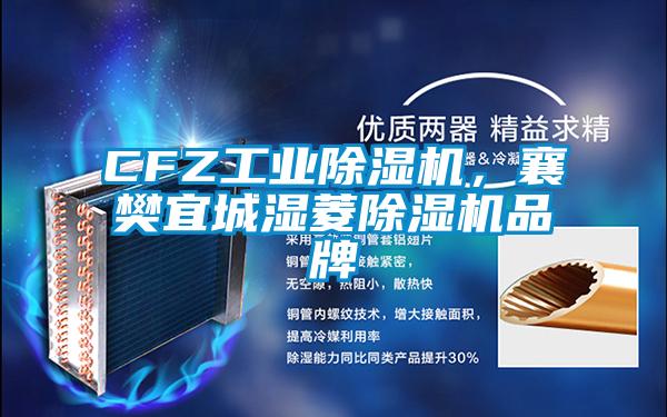 CFZ工業除濕機,襄樊宜城濕菱除濕機品牌