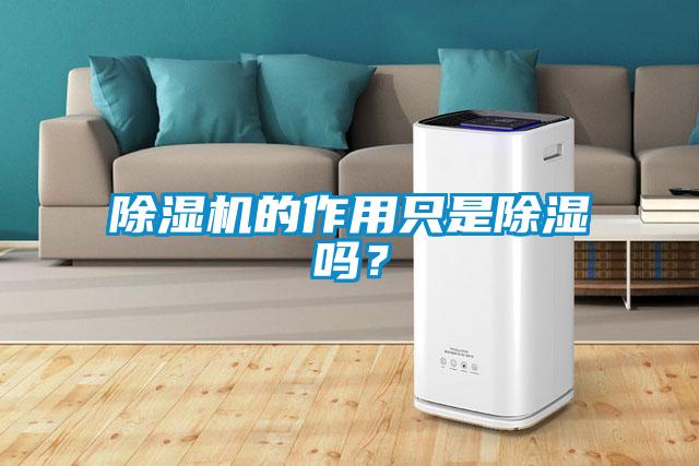 除濕機(jī)的作用只是除濕嗎?