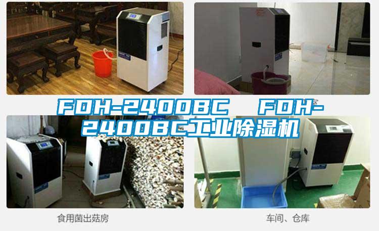 FDH-2400BC FDH-2400BC工業(yè)除濕機(jī)