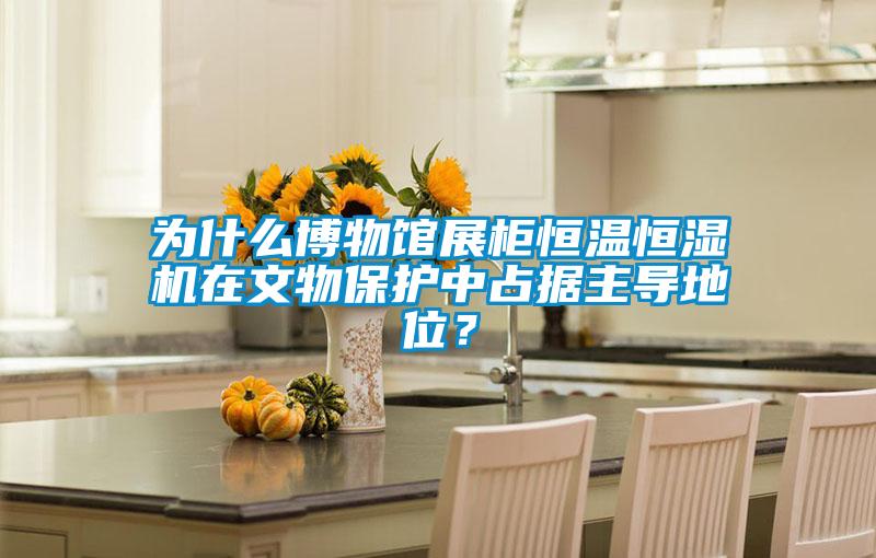 為什么博物館展柜恒溫恒濕機在文物保護中占據(jù)主導地位？